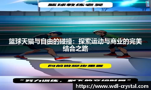 篮球天猫与自由的碰撞：探索运动与商业的完美结合之路