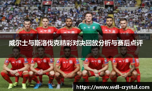 威尔士与斯洛伐克精彩对决回放分析与赛后点评