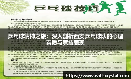 乒乓球精神之旅：深入剖析西安乒乓球队的心理素质与竞技表现