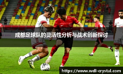 成都足球队的灵活性分析与战术创新探讨